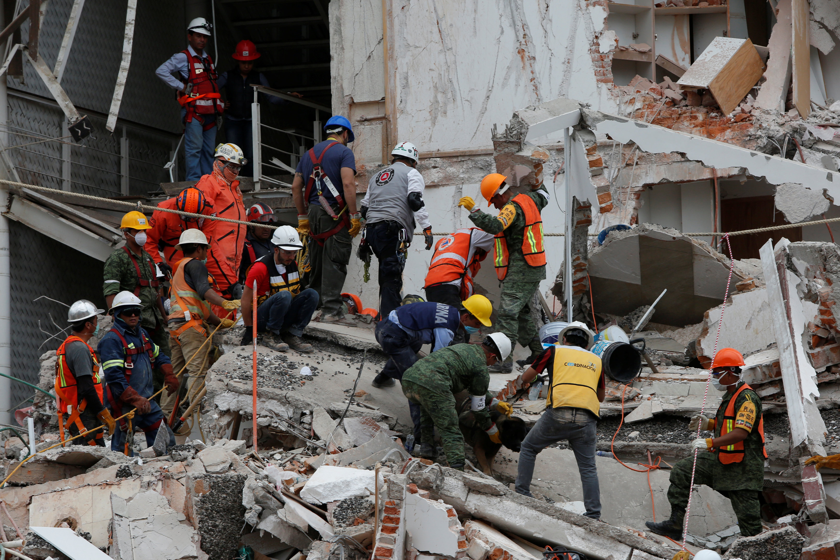 زلزال المكسيك (20)