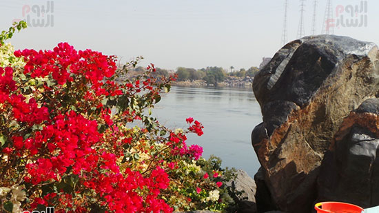           الطبيعة على نهر النيل فى المنطقة