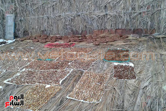  تصنيع البلح