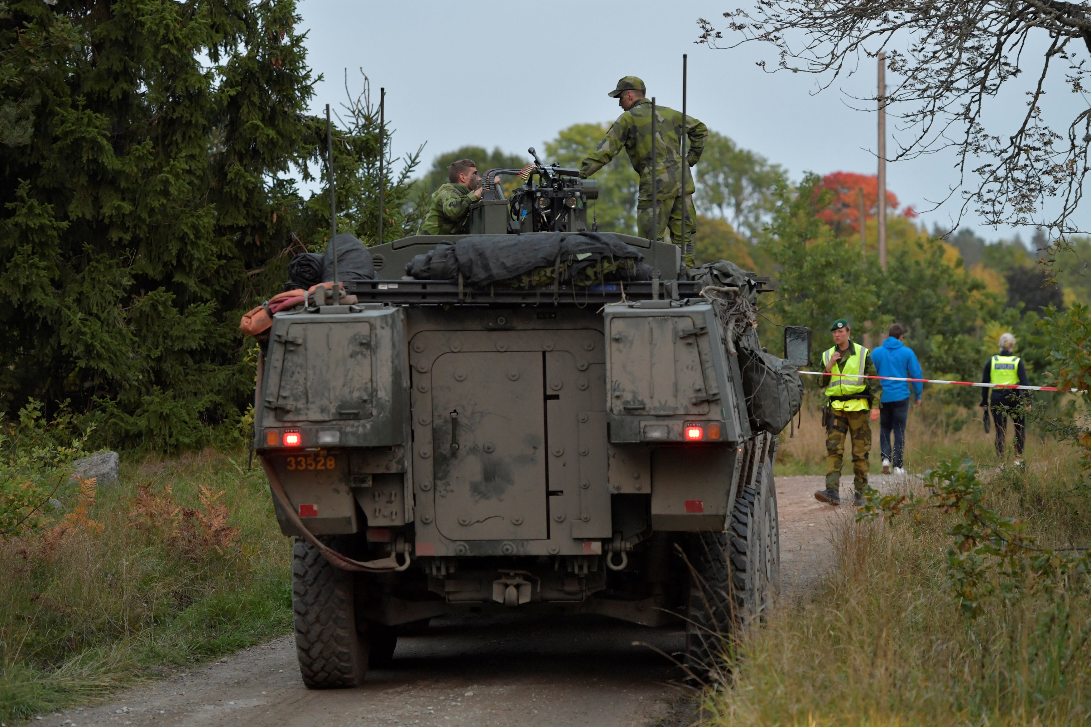 قوات الجيش السويدى