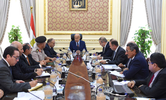 اجتماع لجنة الريف المصرى (3)