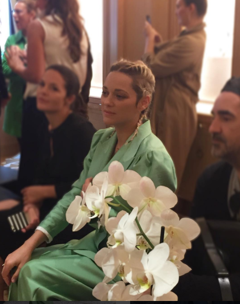 كوتيار  سبتمبر 2017  (4)