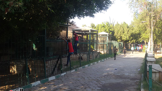  الأطفال يتوافدون على حديقة الحيوان
