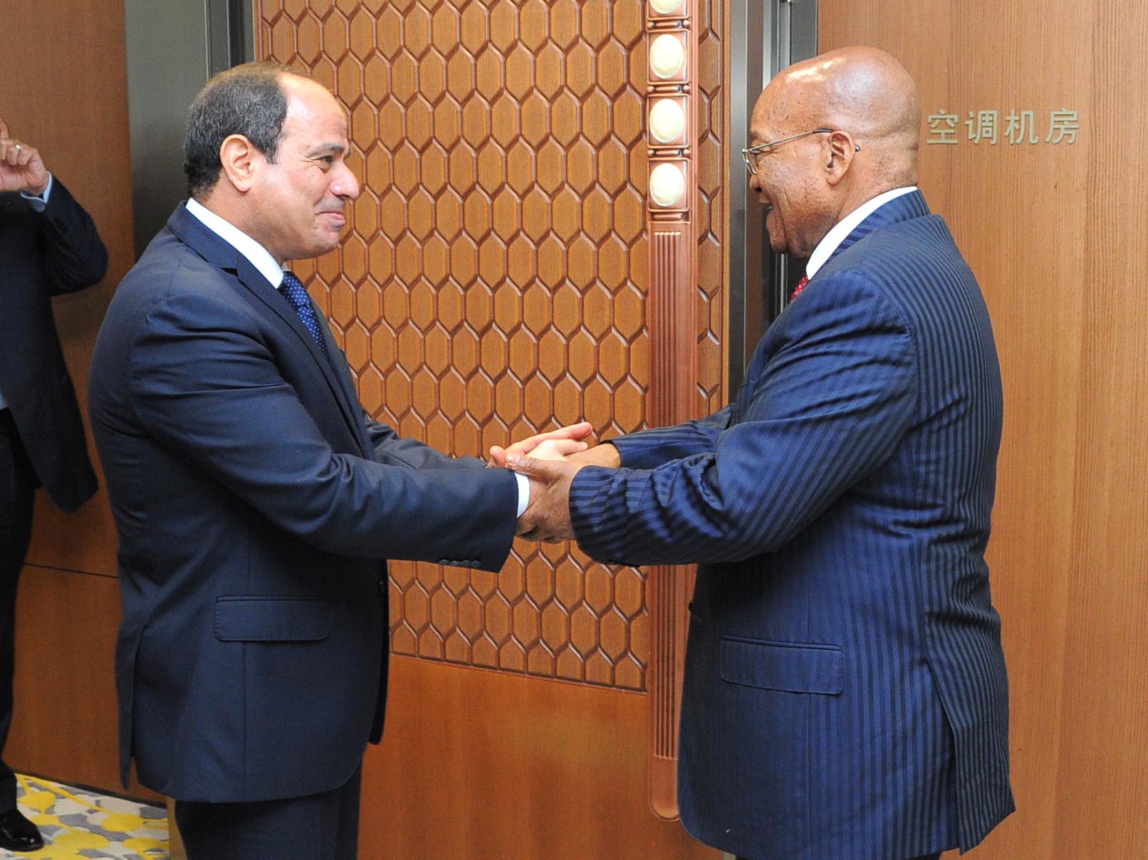 السيسى ورئيس جنوب افريقيا (1)