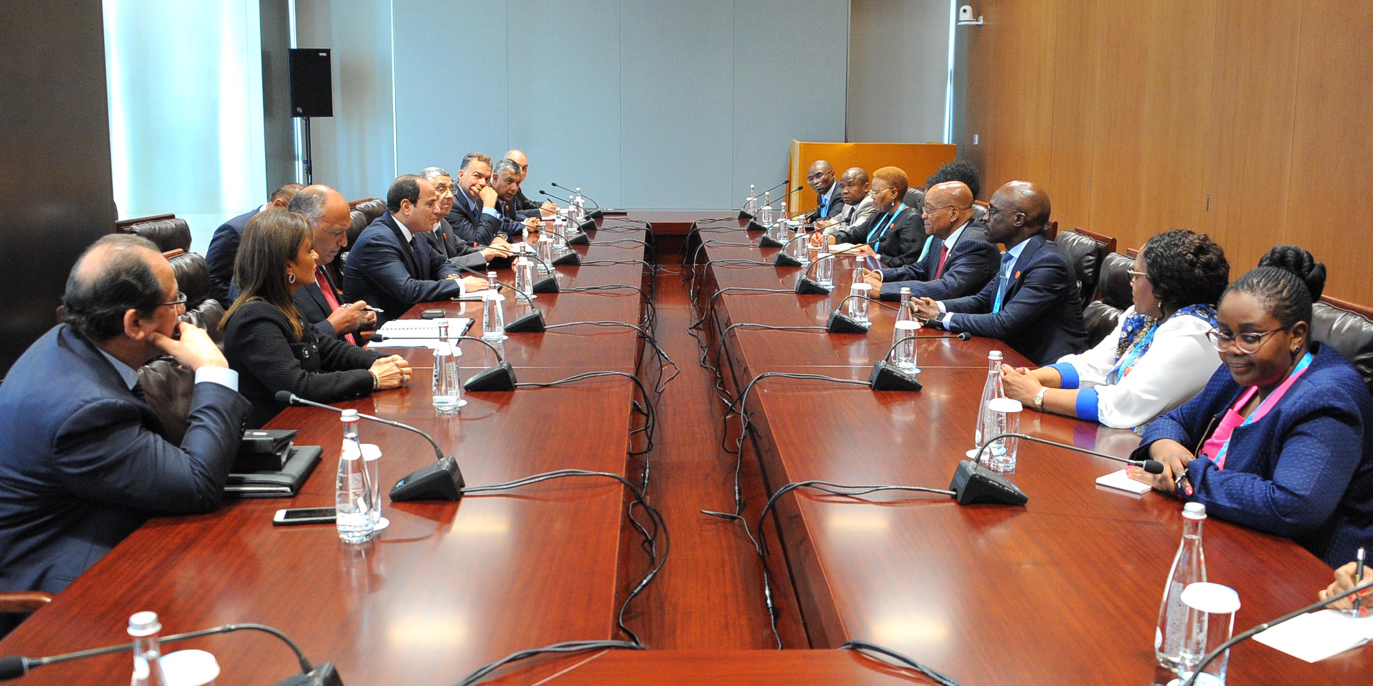 السيسى ورئيس جنوب افريقيا (3)