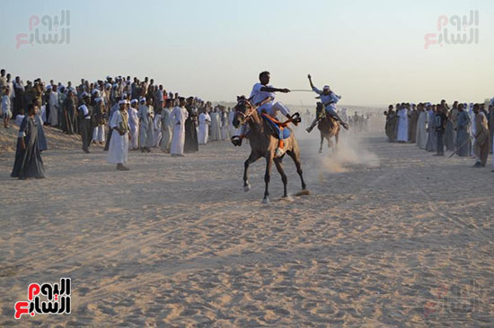 بالصور سباقات الخيول والجمال مملكة السحر وصراع القبائل على عرش الفروسية اليوم السابع