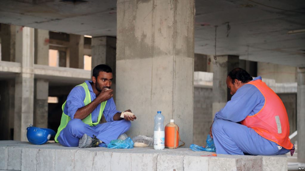 العمال فى قطر العماله فى قطر (10)