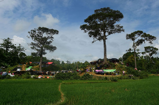 مخيمات اللاجئين من الروهينجا فى بنجلادش