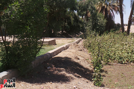 زراعات داخل محطة السمطا زراعات داخل محطة السمطا