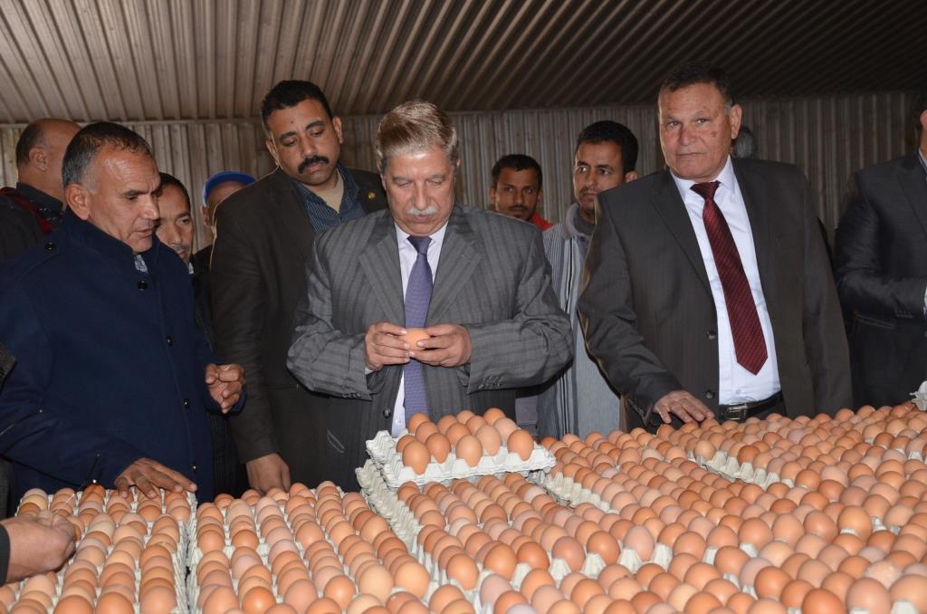 4- طاهر يتفقد مزراعة الإنتاج الحيوانى