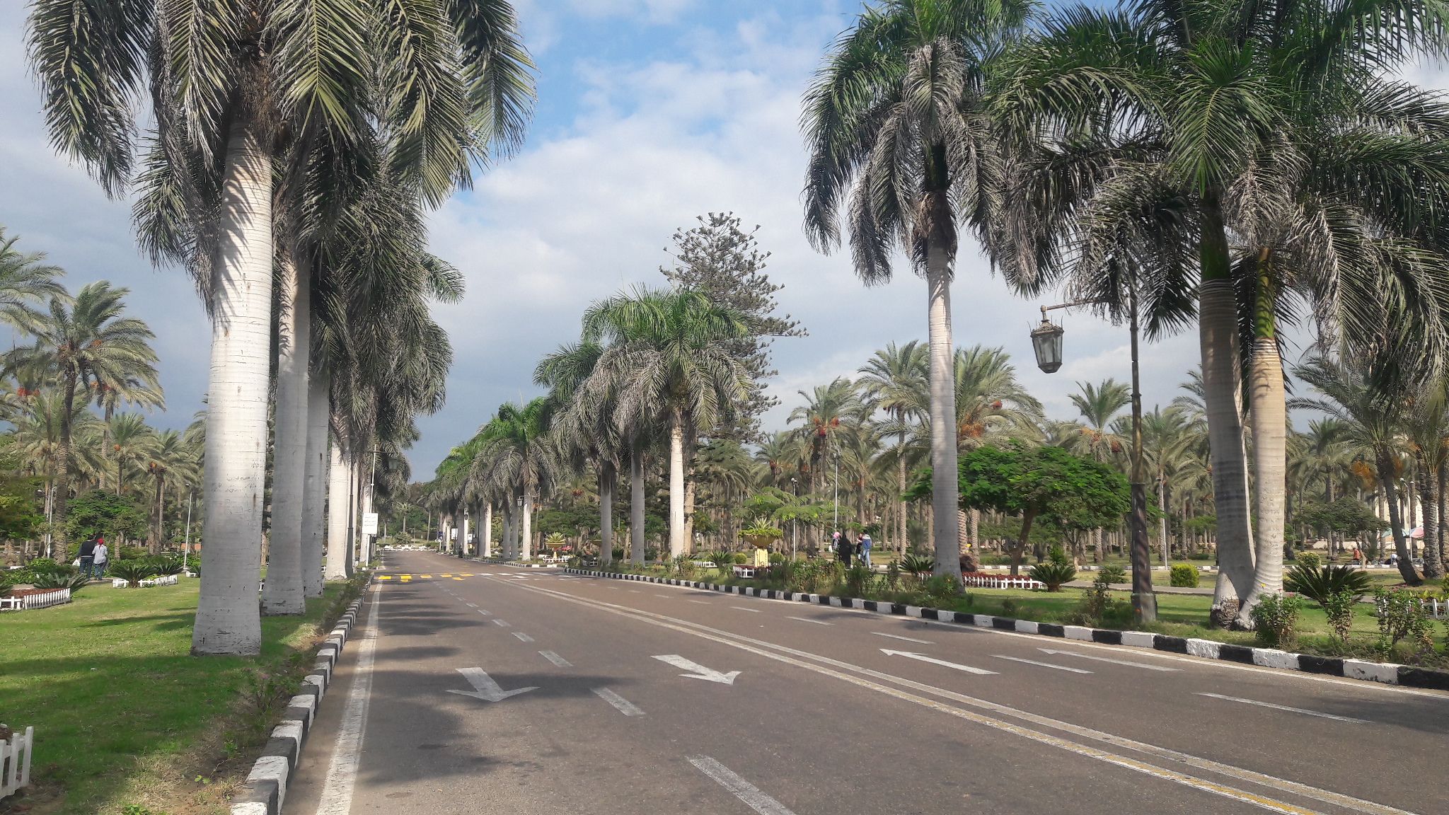 الحدائق على مساحة 370 فدان