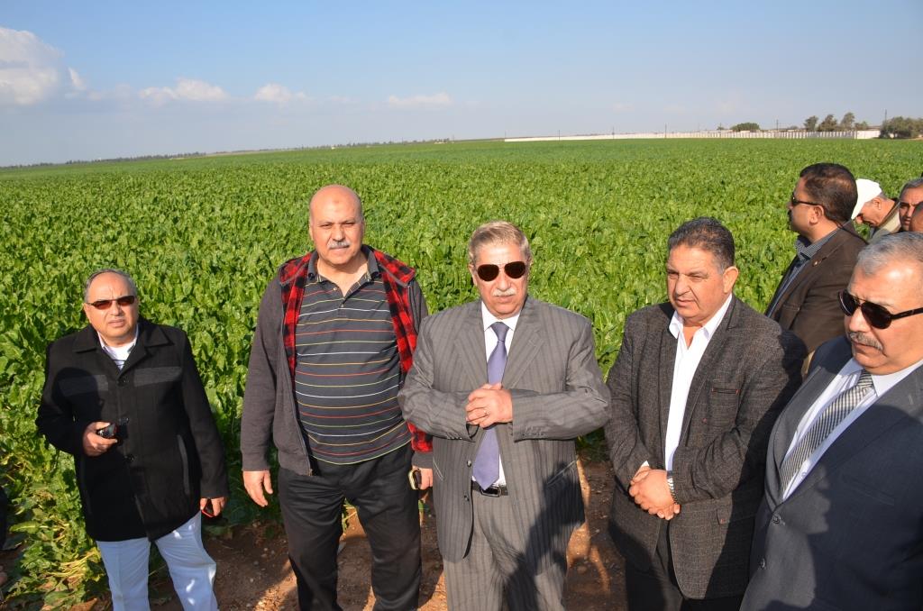 7- المحافظ والقيادات فى جولة بالمزرعة