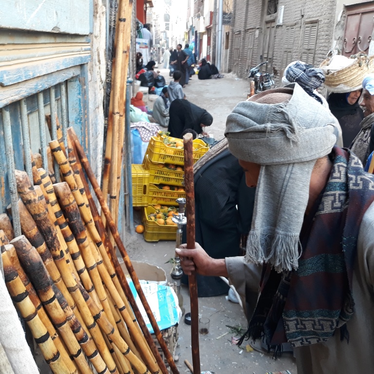 15 شخص ييشترى شومة فى سوق دشنا