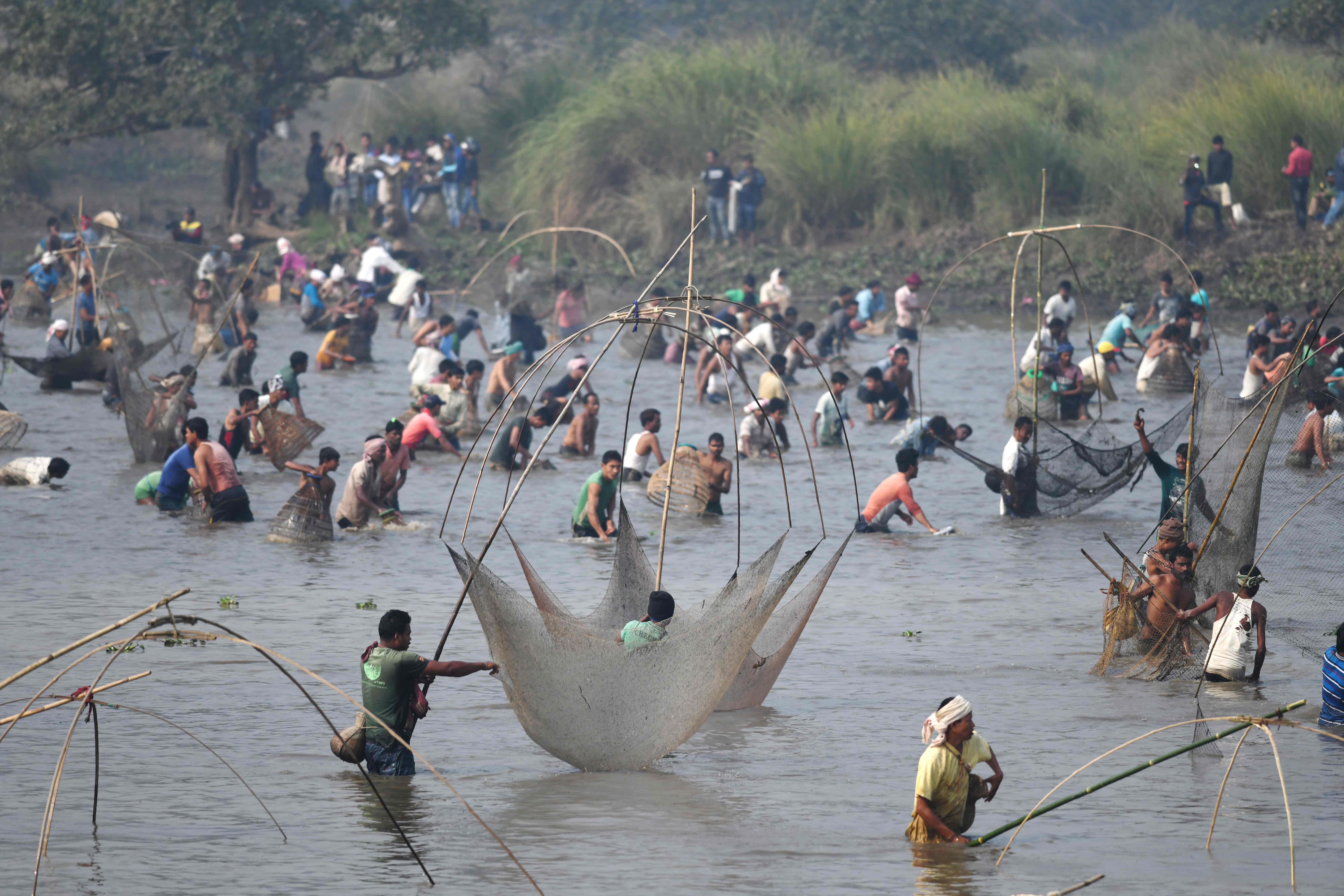 مهرجان صيد الاسماك فى الهند