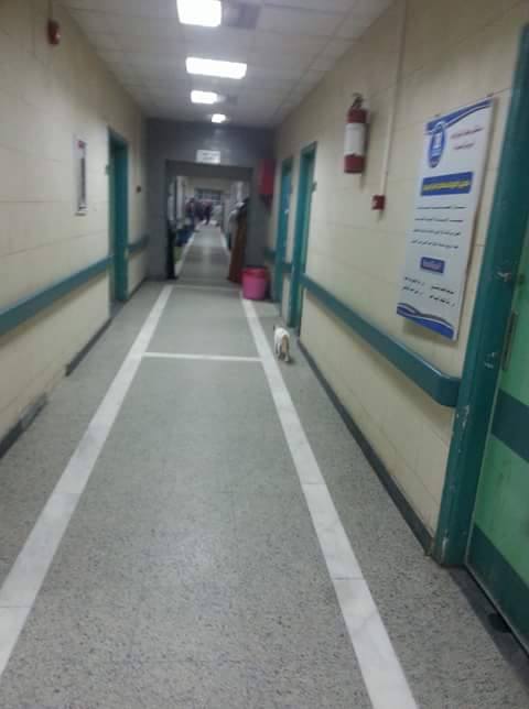 طرقة المستشفى