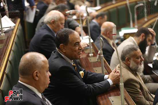 صور الجلسة العامة لمجلس النواب (12)