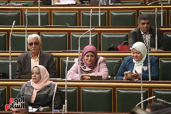 صور الجلسة العامة لمجلس النواب (9)