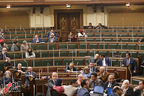 صور الجلسة العامة لمجلس النواب (11)
