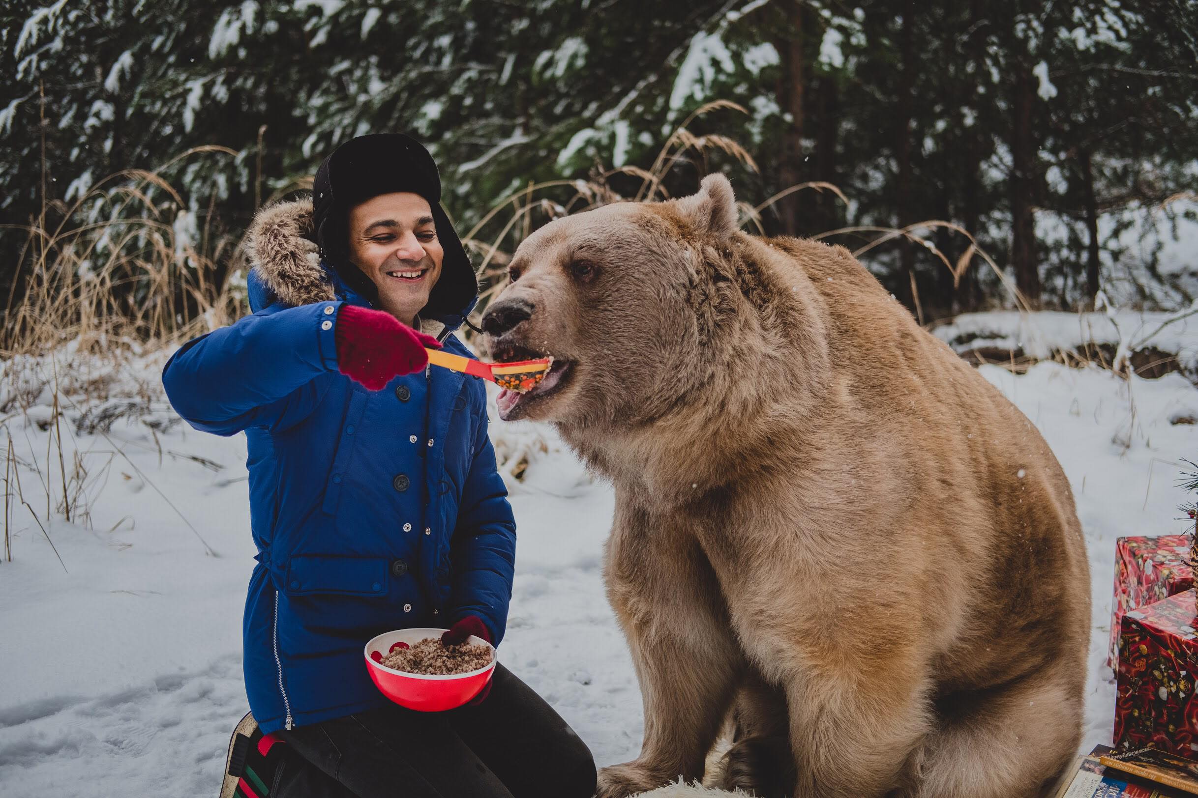 Russian bear. Медведь Россия. Россия глазами иностранцев. Русский медведь глазами иностранцев. Ручной медведь.