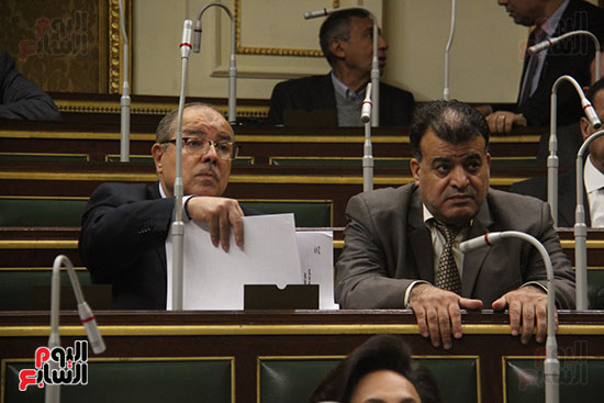 صور مجلس النواب البرلمان (15)