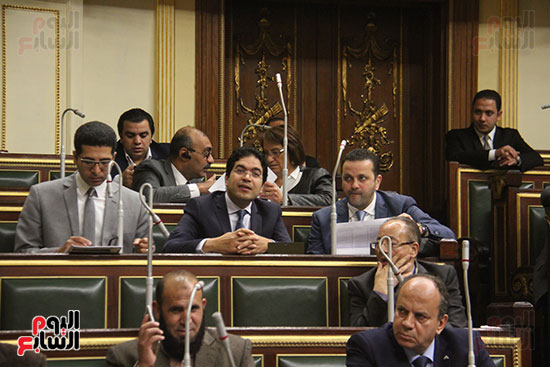 صور مجلس النواب البرلمان (20)