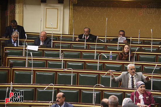 صور مجلس النواب البرلمان (25)