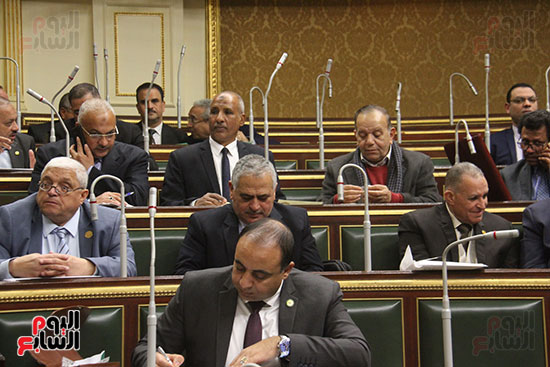صور مجلس النواب البرلمان (9)