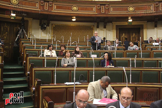صور مجلس النواب البرلمان (11)