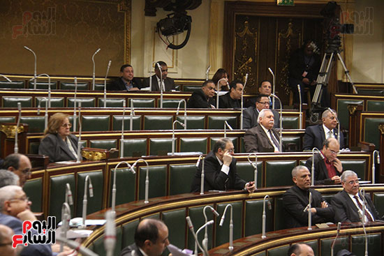 صور مجلس النواب البرلمان (24)