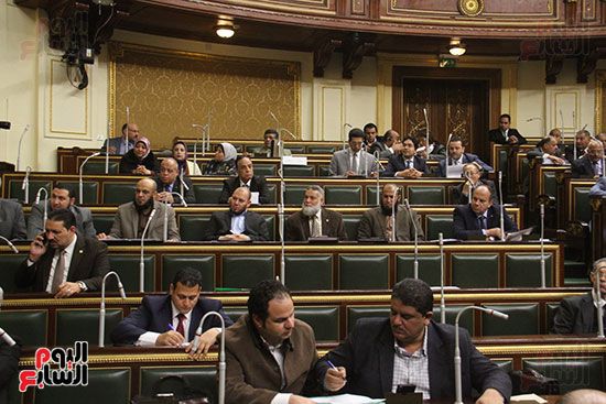 صور مجلس النواب البرلمان (21)