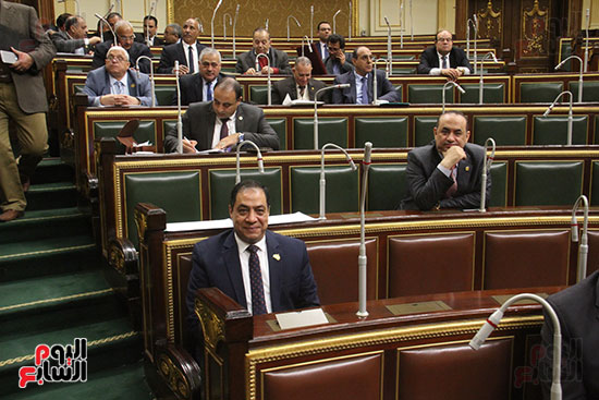 صور مجلس النواب البرلمان (8)