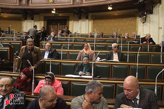 صور مجلس النواب البرلمان (4)