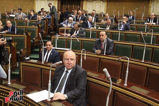 صور مجلس النواب البرلمان (7)