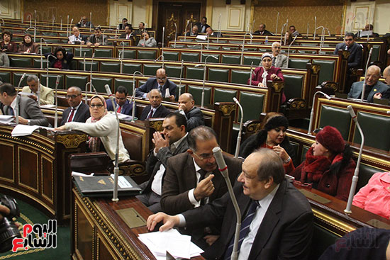 صور مجلس النواب البرلمان (19)