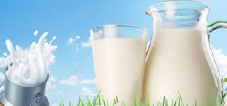 الالبان مفيدة لمريض السكر