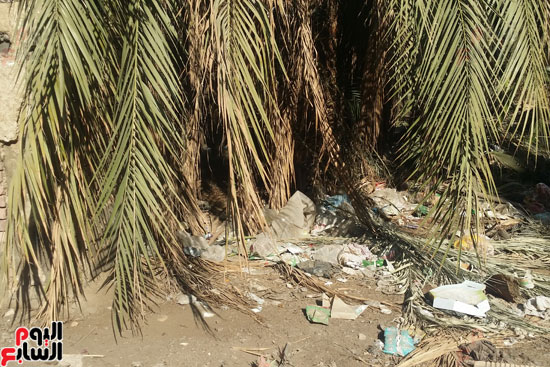 صور القمامة تحاصر مدرسة الزاوية الفنية بالقاهرة (1)