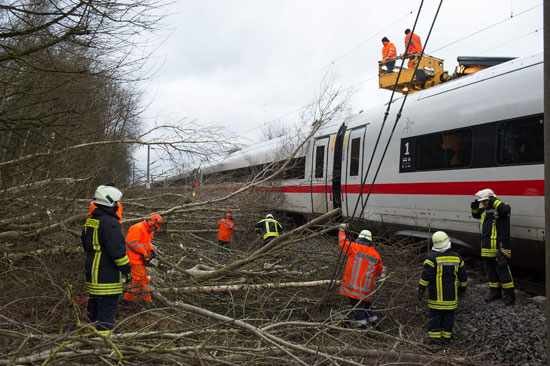 سقوط شجرة على قطار فى ألمانيا