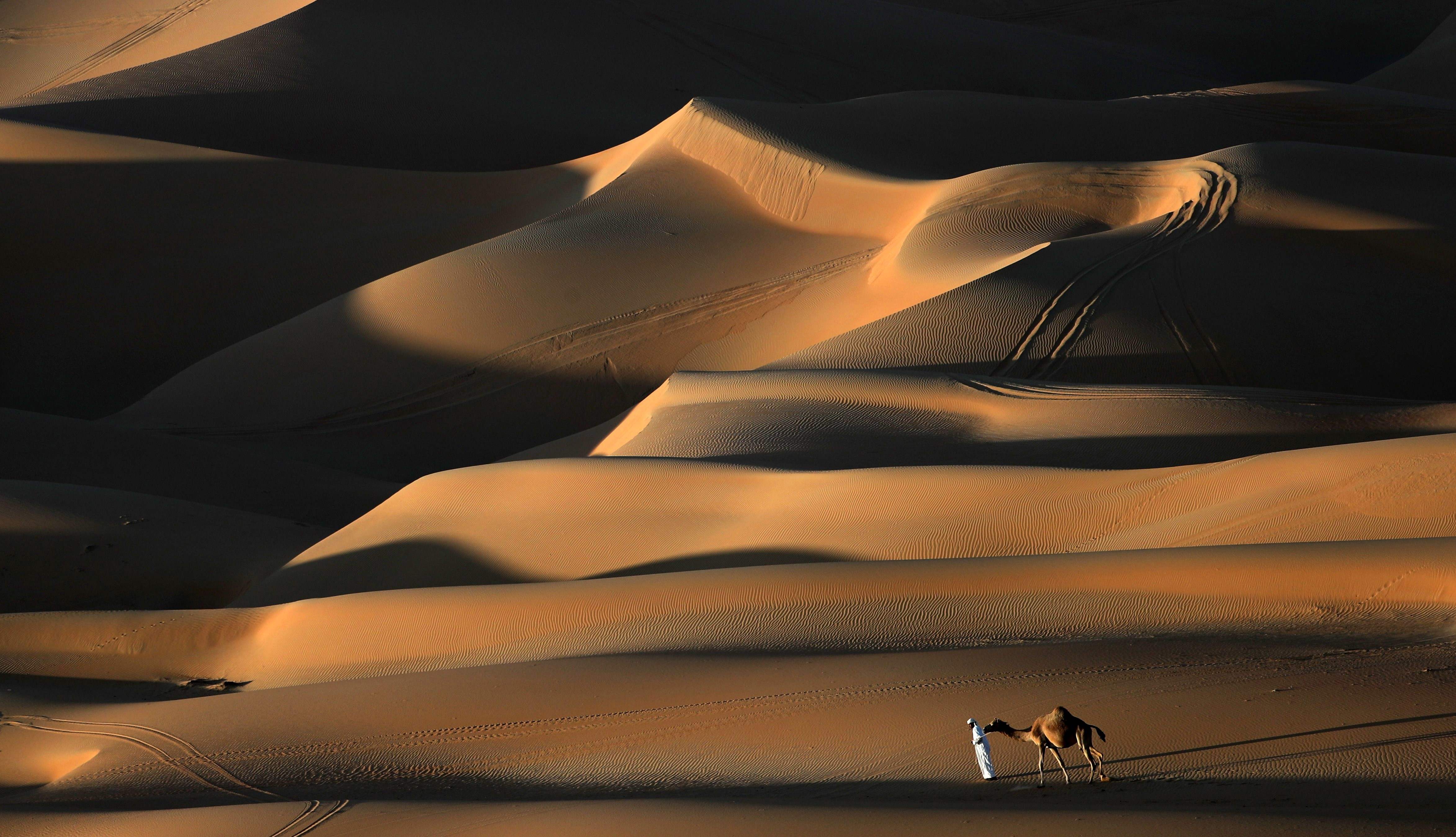 سباق الهجن فى صحراء ليوا بأبو ظبى