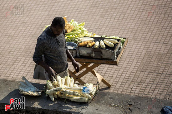 105518-صورة-اليوم 105518-صورة-اليوم