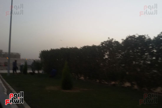 أعمال التشجير