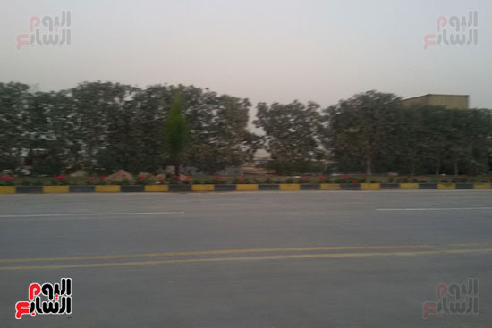 الأشجار داخل مصنع سامسونج