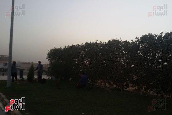 الورود والأشجار