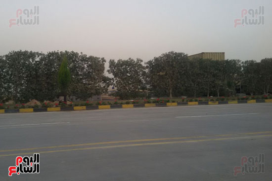 الورود فى استقبال الرئيس السيسي