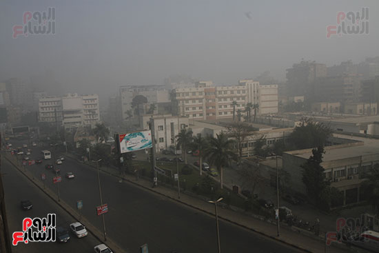 صور شبورة طقس درجات الحرارة (5)