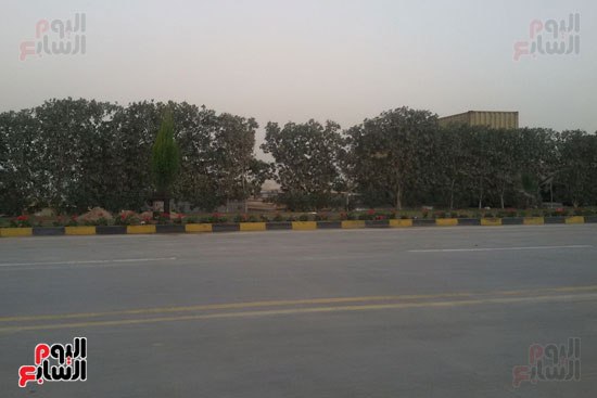 تشجير الطريق