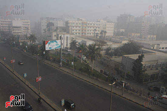 صور شبورة طقس درجات الحرارة (10)
