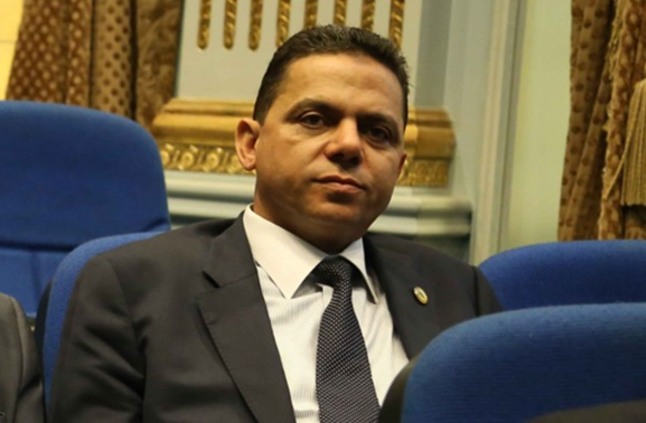 النائب إيهاب غطاطى عضو مجلس النواب
