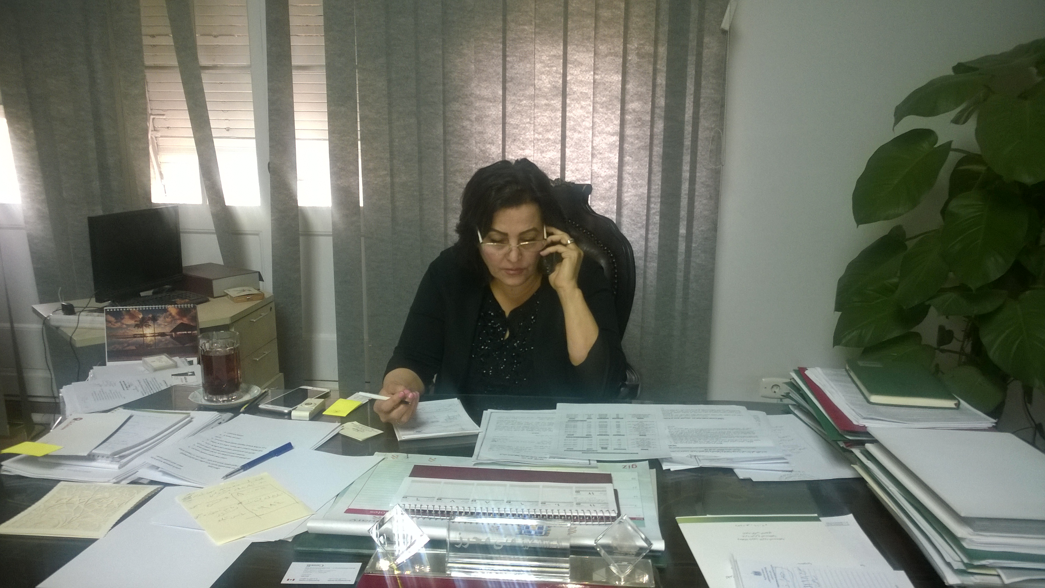 الدكتورة منى محرز نائب  وزير الزراعة لشئون الثروة الحيوانية
