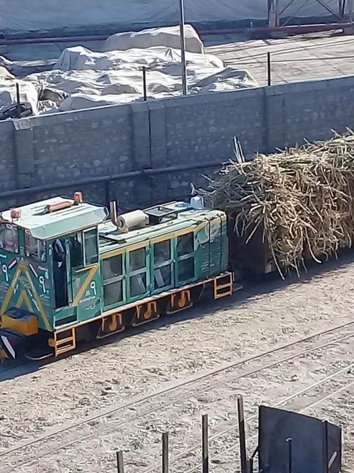 قطارات الديكوفيل المحملة بالقصب خلال التوريد لمصنع أرمنت