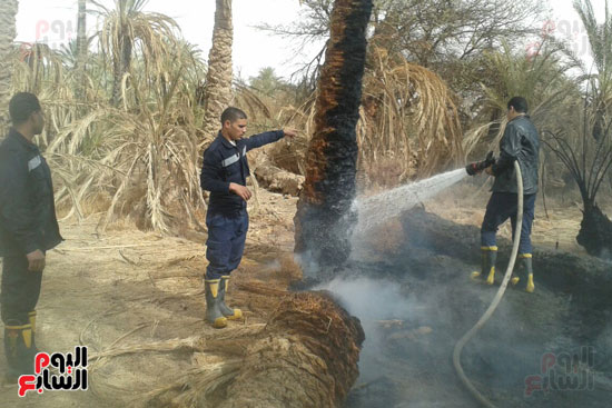 وحدات الدفاع المدنى بالداخلة